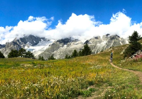 Tour du Mont Blanc