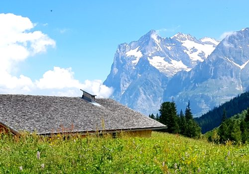 Via Alpina: Bernese Oberland Guided walking holiday